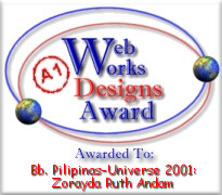 Web Works Designs Award